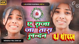 raja ja tara london  ja tara ta ja piya thik se kamai Dj Song Dj Ritesh [upl. by Sathrum]