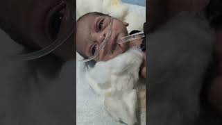 Giving medicine to a newborn baby youtubeshorts nursing sumitnicunursingstm newbornbaby viral [upl. by Greenfield]