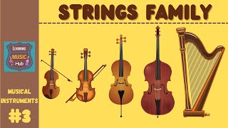 STRINGS FAMILY  INSTRUMENTS OF THE ORCHESTRA  LESSON 3  LEARNING MUSIC HUB  ORCHESTRA [upl. by Herahab]