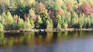 Osprey Lake  515 Acres  Minocqua WI [upl. by Arva969]