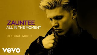 Zauntee  All In The Moment Official Audio [upl. by Lissak]