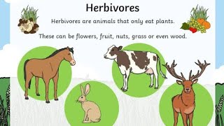 Herbivores Carnivores and Omnivores [upl. by Oigolue]