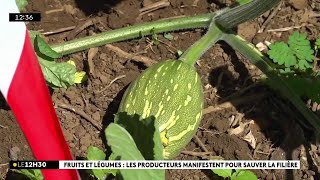 Les producteurs de fruits et légumes inquiets [upl. by Crisey270]