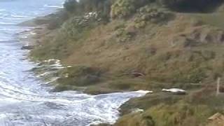 Wainui Beach Big Surf [upl. by Winchell415]