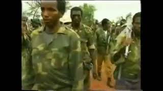 Fano Ethiopian Song Fano By Gebru Fano Tigrigna [upl. by Allevon471]