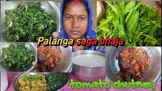 Pakhala eating  Palanga saga bhaja  Tomato chutney recipe in odia  manja aloo bhaja [upl. by Fitzsimmons]