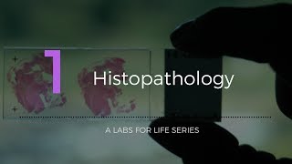 Histopathology [upl. by Seftton]