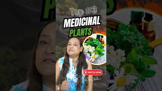 Top 3 Medicinal Plants for Your Health amp Wellness [upl. by Ellevehc777]