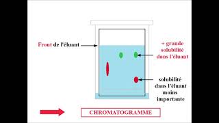 CHROMATOGRAPHIE sur couche mince  VOCABULAIRE [upl. by Osnofla]