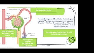 Síndrome cardiorrenal [upl. by Nolyd]