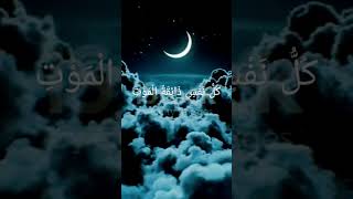 ya ibadi allazina amanuSurah Al AnkabutAbdur Rahaman mossad short videoviralshortbeautiful [upl. by Berriman]