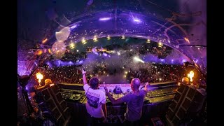 DVBBS amp BORGEOUS  Tsunami Vini Vici Remix LIVE Tomorrowland 2019 [upl. by Ronyam]