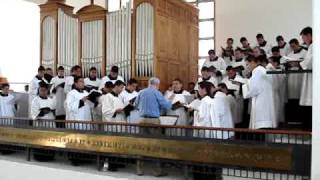 1 KYRIE GLORIA REGINA PACIS Seminario de Guadalajara Schola Cantorum [upl. by Frisse]