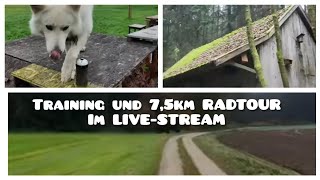 LIVESTREAM  SCHWEIZER SCHÄFERHUND CHARLIE in ACTION [upl. by Tallia]