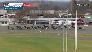 202411 11 Romme Lopp 3 [upl. by Kassab]