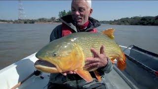 Jeremy Wade monstruosderío DoradoPirayú video de Monstruos de río monstruosderíorivermonster [upl. by Korey]