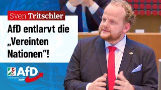 AfD entlarvt die Vereinten Nationen – Sven Tritschler AfD [upl. by Flavian]