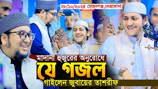 মাদানী হুজুরের অনুরোধে যে গজল গাইলেন।জুবায়ের আহমদ তাশরীফ।Qari Jubayer Ahmad Tasrif New Gojol 2024 [upl. by Eixam]