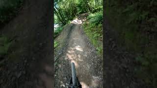 Norkle BPW downhill mountainbike mtb bikeparkwales bpw warmup [upl. by Ellehcit440]