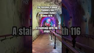 The Domaine VrankenPommery A staircase with 116 steps share shorts travel subscribe amazing [upl. by Stricklan]