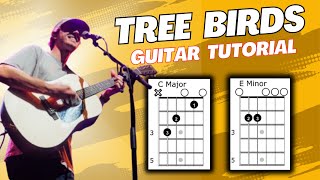 Tree Birds Dylan Gossett Guitar Tutorial [upl. by Attenat]