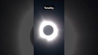 Totality is incredible eclipse Missouri shorts [upl. by Elocin]