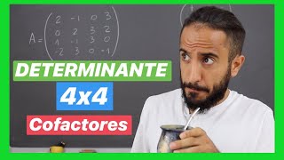 DETERMINANTE de 4x4  por COFACTORES o Menores  Álgebra Para Todos [upl. by Edric271]