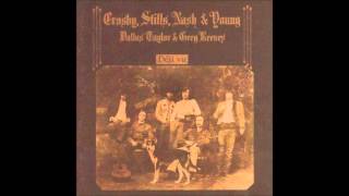 Crosby Stills Nash amp Young  Almost Cut My Hair instrumental [upl. by Anitrebla]