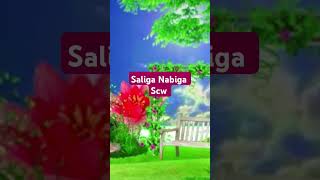 SALIGA NABIGA SCW [upl. by Lahcim]