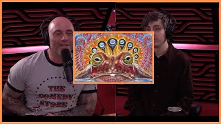 Hamilton Morris Shares His DMT Experience🤯  Joe Rogan Clips [upl. by Elyag]