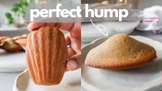 How to Make Perfect French Madeleines at Home  Classic French Madeleines Recipe with Perfect Hump [upl. by Morissa]