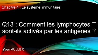 Chap 4  Le système immunitaire  Q13  Comment les lymphocytes T sont activés par les antigènes [upl. by Duong]