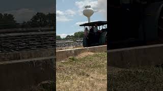 Shenandoah Valley Steam And Gas Engine Association 2024 Rumely Oil Pull S 3060 Part 3 [upl. by Grey]