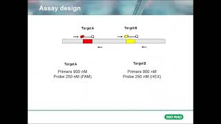 Foundational Concepts Copy Number Variation in Digital PCR Part 1 [upl. by Lleinnad]