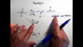 Problem 9 Ozonolysis [upl. by Nylarak]