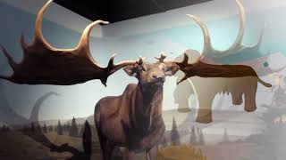 the Last Ice Age megafauna Toba amp Neolithic Age [upl. by Leffert]