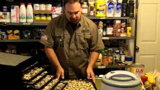 How to Use a Dehydrator for Food Storage [upl. by Eissim]