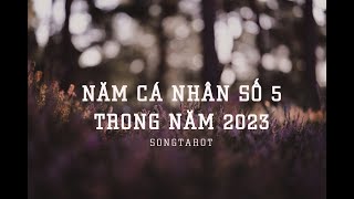 năm cá nhân số 5 trong năm 2023 [upl. by Trueman345]