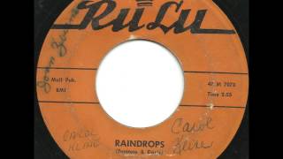 Vernalls  Raindrops  Killer RARE Philly Doo Wop Ballad [upl. by Aliet880]