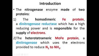 Biological nitrogen fixation Mechanism of action of Nitrogenase [upl. by Anivahs]