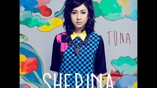 Sherina Munaf  Ada Audio Only [upl. by Nonnek]