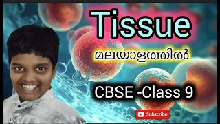 Master the Biology of Tissues Your Essential Guide [upl. by Telocin849]