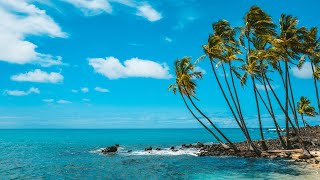 Caribbean Beach Jazz 247🌴Relaxing Tropical Music amp Bossa Nova with Ocean Waves Sounds for Good Mood [upl. by Pinsky]