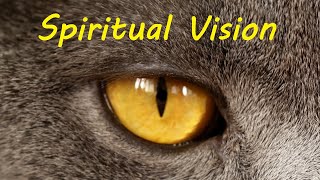 Your Spiritual Vision  Al Fatiha English Quran Tafseer Aya Verse 5 [upl. by Noeht]