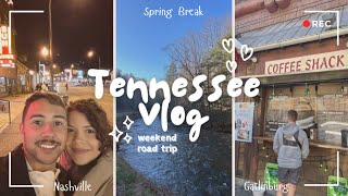 Road trip vlog to TennesseeSpring Break [upl. by Haeckel]