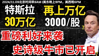 【特斯拉重磅利好】特朗普一胜选，中国马上给特斯拉开绿灯，意义深远，美银唱多并提高目标位，特斯拉的超级牛市神挡不住，犹太资本要回归加仓？特斯拉 美股 股哥说美股 tesla 马斯克 美股复盘 [upl. by Elleiad]