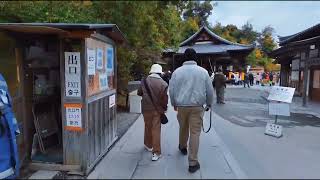 Kinkakuji The Golden Pavilion A travel film by ShakhawatShuvo japan japaneseculture [upl. by Norvell]