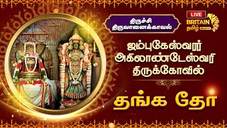 LIVE  திருவானைக்கோயில்  அருள்மிகு ஜம்புகேஸ்வரர் அகிலாண்டேஸ்வரி திருக்கோயில் தங்க தேர்  Thangather [upl. by Nollahs]