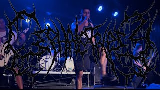 Cephalotripsy  Full Set Live in Las Vegas NV 10072022 Monsters of Brutality Fest [upl. by Oiruam757]