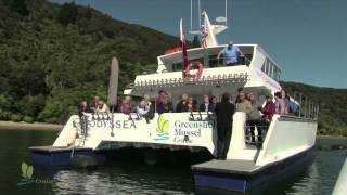 Marlborough  Havelock greenshell Mussel Cruise [upl. by Edualc539]